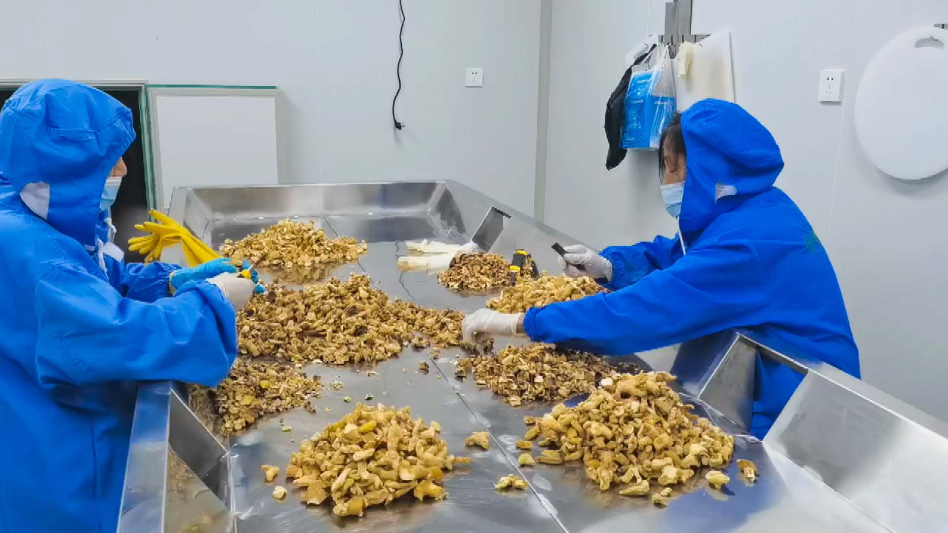 专家&ldquo;传经送宝&rdquo; 科技赋能崇阳黄精产业产供销升级
